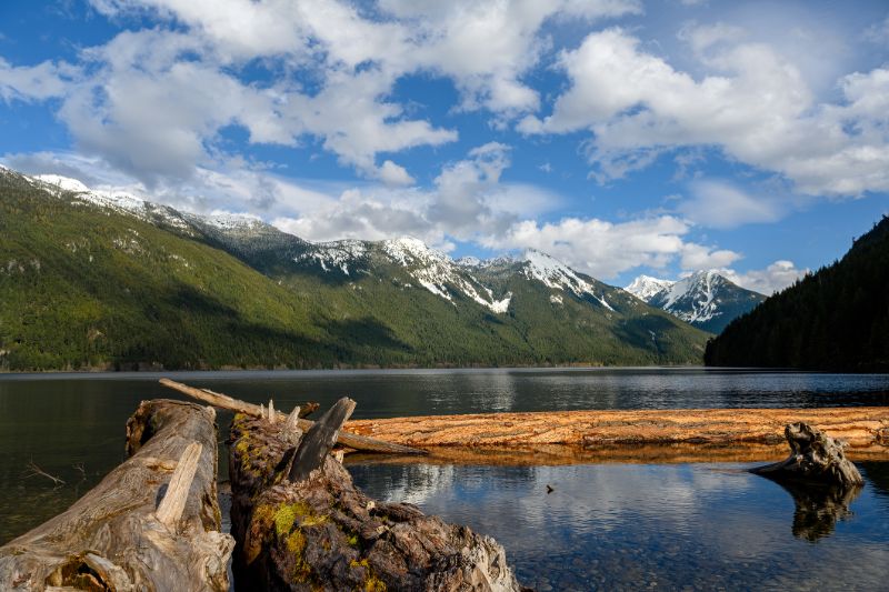 chilliwack lake with dead fallen tree trunks and driftwood