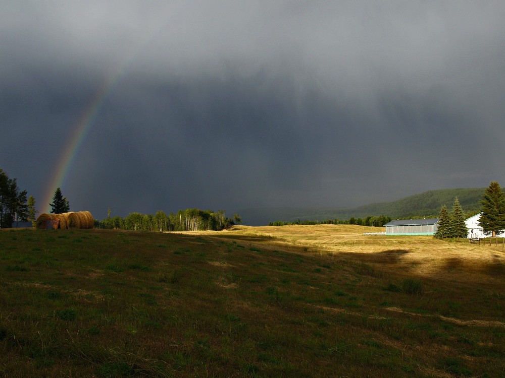 Golden field with rainbow thunderstorm